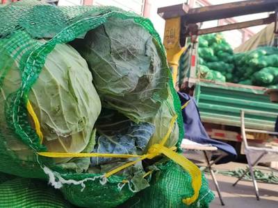 雙節來臨又逢最強寒潮,市民日常必需的蔬菜供應還充足嗎?