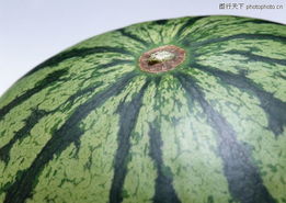 水果蔬菜0155 水果蔬菜圖 水果食品圖庫